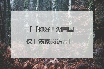 「你好！湖南国保」汤家岗访古