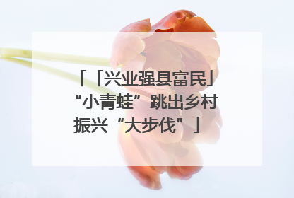 「兴业强县富民」“小青蛙”跳出乡村振兴“大步伐”