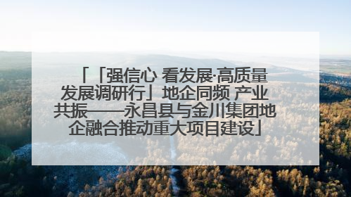 「强信心 看发展·高质量发展调研行」地企同频 产业共振——永昌县与金川集团地企融合推动重大项目建设