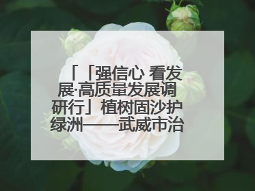 「强信心 看发展·高质量发展调研行」植树固沙护绿洲——武威市治沙造林筑牢生态安全屏障见闻