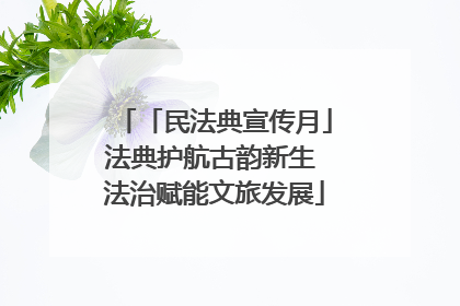 「民法典宣传月」法典护航古韵新生 法治赋能文旅发展