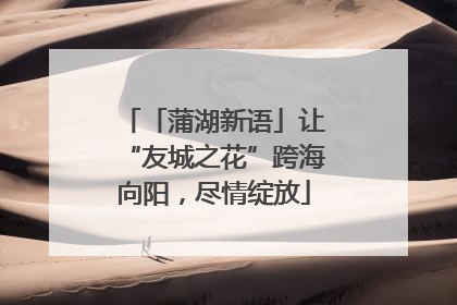 「蒲湖新语」让“友城之花”跨海向阳，尽情绽放