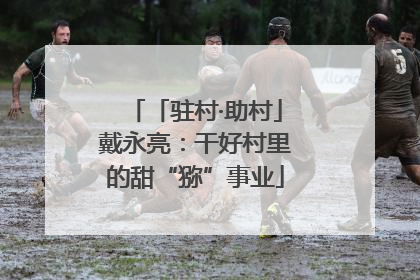 「驻村·助村」戴永亮：干好村里的甜“猕”事业