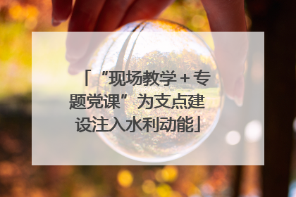 “现场教学＋专题党课”为支点建设注入水利动能