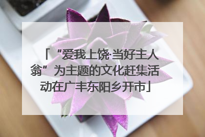 “爱我上饶·当好主人翁”为主题的文化赶集活动在广丰东阳乡开市