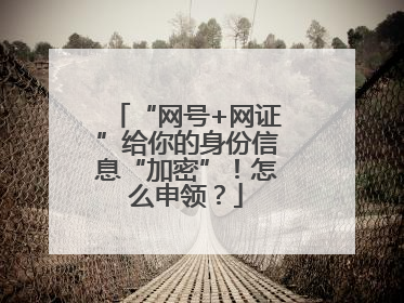 “网号+网证”给你的身份信息“加密”！怎么申领？