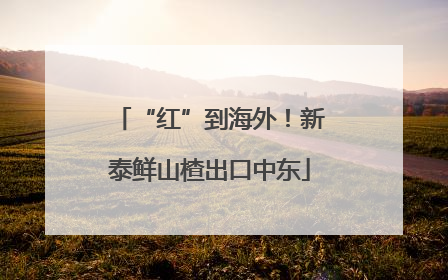 “红”到海外！新泰鲜山楂出口中东