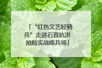 “红色文艺轻骑兵”走进石首抗洪抢险实战练兵场