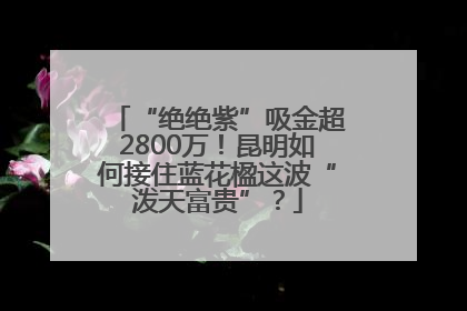 “绝绝紫”吸金超2800万！昆明如何接住蓝花楹这波“泼天富贵”？