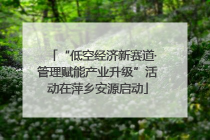 “低空经济新赛道·管理赋能产业升级”活动在萍乡安源启动