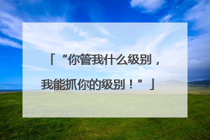 “你管我什么级别，我能抓你的级别！”