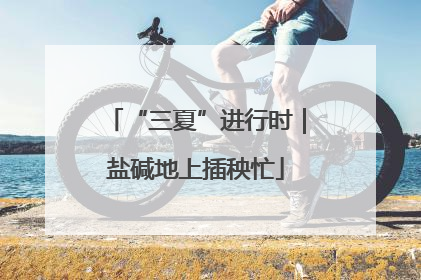 “三夏”进行时｜盐碱地上插秧忙