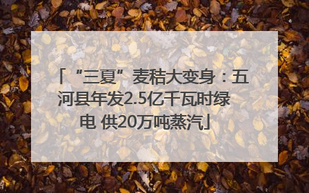 “三夏”麦秸大变身：五河县年发2.5亿千瓦时绿电 供20万吨蒸汽