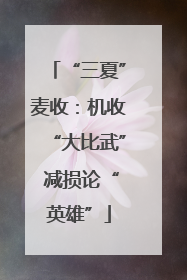 “三夏”麦收：机收“大比武” 减损论“英雄”