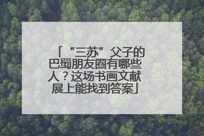 “三苏”父子的巴蜀朋友圈有哪些人？这场书画文献展上能找到答案