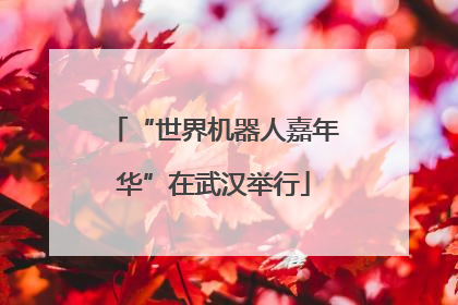 “世界机器人嘉年华”在武汉举行