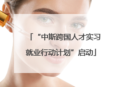 “中斯跨国人才实习就业行动计划”启动