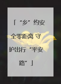 “乡”约安全零距离 守护出行“平安路”