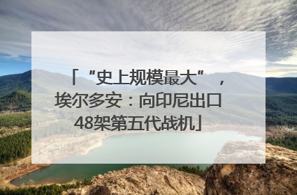 “史上规模最大”，埃尔多安：向印尼出口48架第五代战机