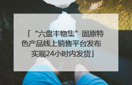 “六盘丰物集”固原特色产品线上销售平台发布 实现24小时内发货