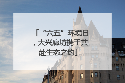 “六五”环境日，大兴廊坊携手共赴生态之约