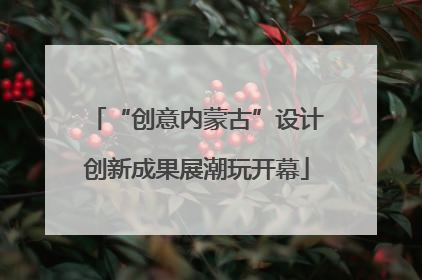 “创意内蒙古”设计创新成果展潮玩开幕