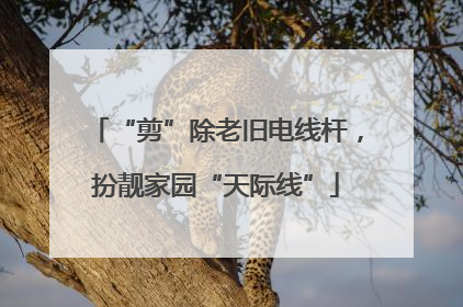 “剪”除老旧电线杆，扮靓家园“天际线”
