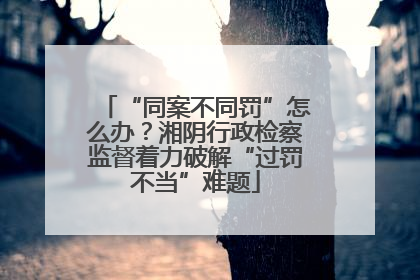 “同案不同罚”怎么办？湘阴行政检察监督着力破解“过罚不当”难题