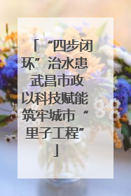 “四步闭环”治水患 武昌市政以科技赋能筑牢城市“里子工程”