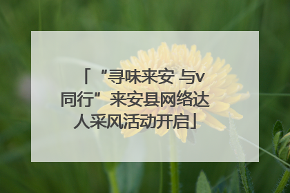 “寻味来安 与v同行”来安县网络达人采风活动开启