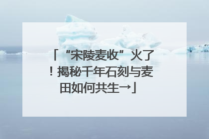 “宋陵麦收”火了！揭秘千年石刻与麦田如何共生→