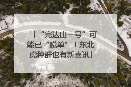 “完达山一号”可能已“脱单”！东北虎种群也有新喜讯