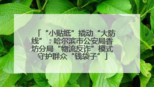 “小贴纸”撬动“大防线”：哈尔滨市公安局香坊分局“物流反诈”模式守护群众“钱袋子”