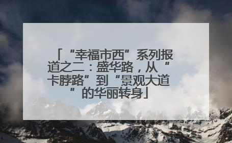 “幸福市西”系列报道之二：盛华路，从“卡脖路”到“景观大道”的华丽转身