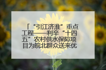 “引江济淮”重点工程——利辛“十四五”农村供水保障项目为皖北群众送来优质“引调水”
