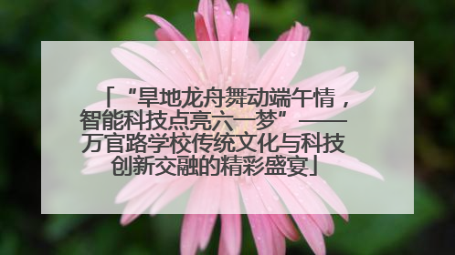 “旱地龙舟舞动端午情，智能科技点亮六一梦”——万官路学校传统文化与科技创新交融的精彩盛宴
