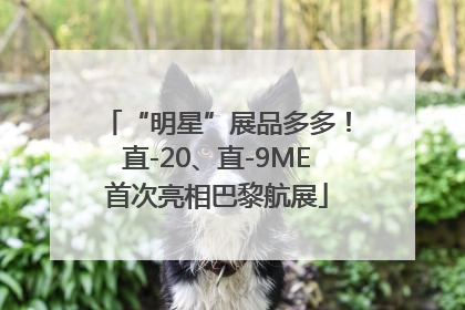 “明星”展品多多！直-20、直-9ME首次亮相巴黎航展