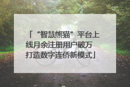 “智慧熊猫”平台上线月余注册用户破万 打造数字连侨新模式