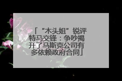 “木头姐”锐评特马交锋：争吵揭开了马斯克公司有多依赖政府合同