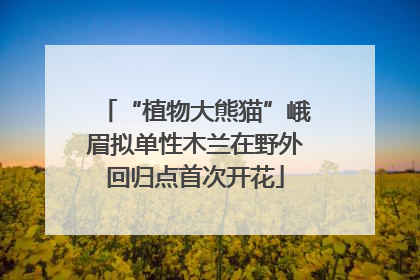 “植物大熊猫”峨眉拟单性木兰在野外回归点首次开花