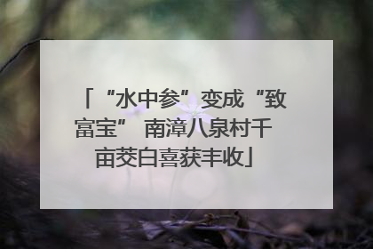 “水中参”变成“致富宝” 南漳八泉村千亩茭白喜获丰收