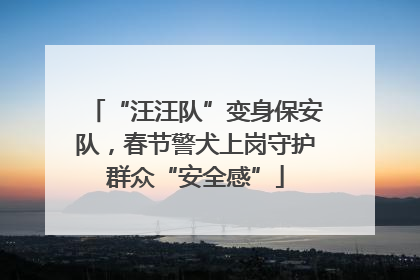 “汪汪队”变身保安队，春节警犬上岗守护群众“安全感”