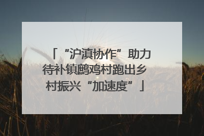 “沪滇协作”助力待补镇鹧鸡村跑出乡村振兴“加速度”