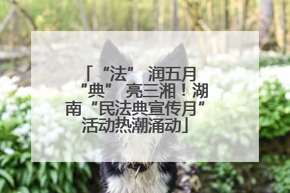 “法” 润五月 “典” 亮三湘！湖南“民法典宣传月”活动热潮涌动
