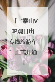 “泰山VIP观日出专线旅游车”正式开通