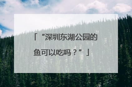 “深圳东湖公园的鱼可以吃吗？”