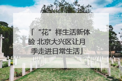 “花”样生活新体验 北京大兴区让月季走进日常生活