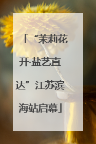 “茉莉花开·盐艺直达”江苏滨海站启幕