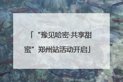 “豫见哈密·共享甜蜜”郑州站活动开启