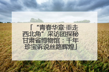 “青春华章·重走西北角”采访团探秘甘肃省博物馆：千年珍宝诉说丝路辉煌